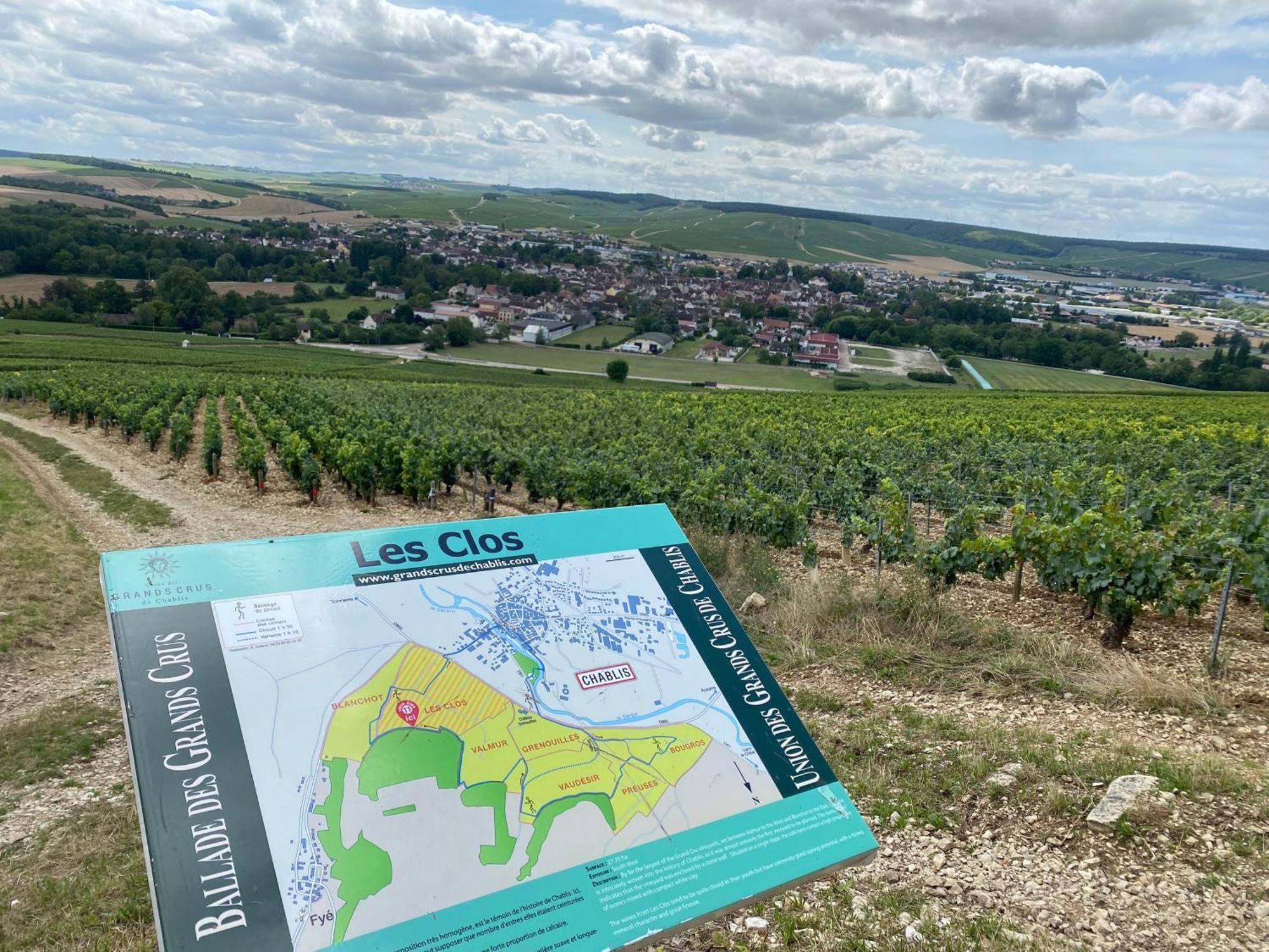 Le Merrain Plein Coeur De Chablis